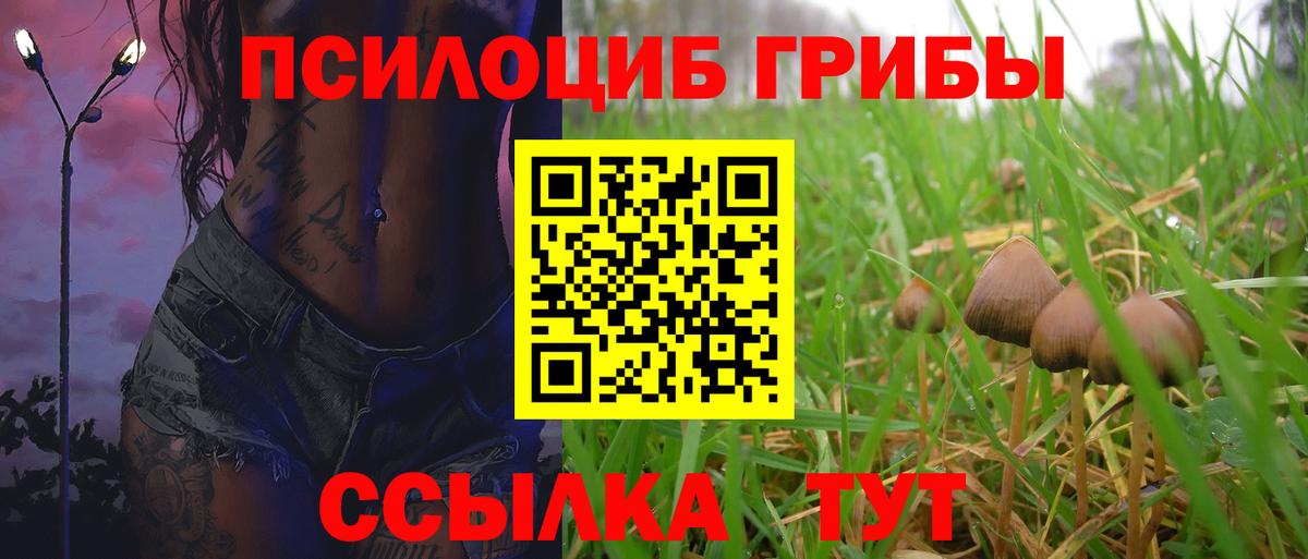 Новоалтайск  Псилоцибиновые грибы прущие грибы  Вход с VPN 