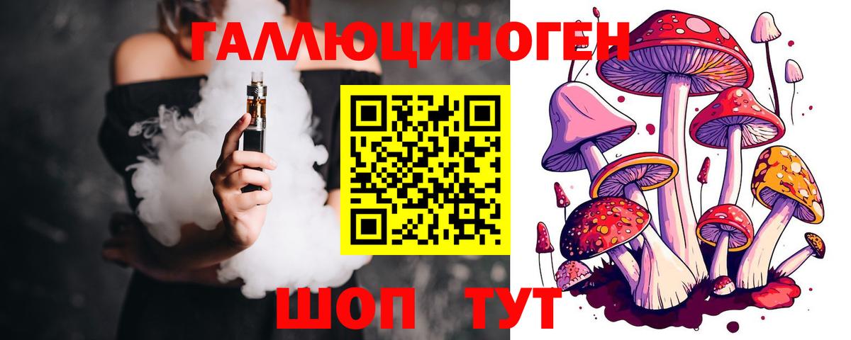 Псилоцибиновые грибы ЛСД Новоалтайск